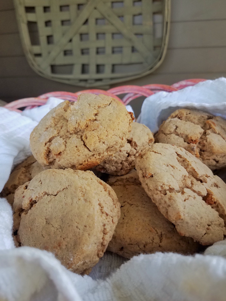 Dr. Pete’s Apple Pie Biscuits - Baking Mix