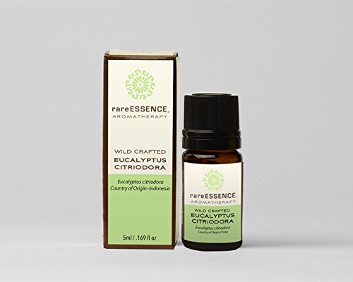 RareEssence - Aromatherapy - Essential Oil - Eucalyptus Citriodora- 5ml
