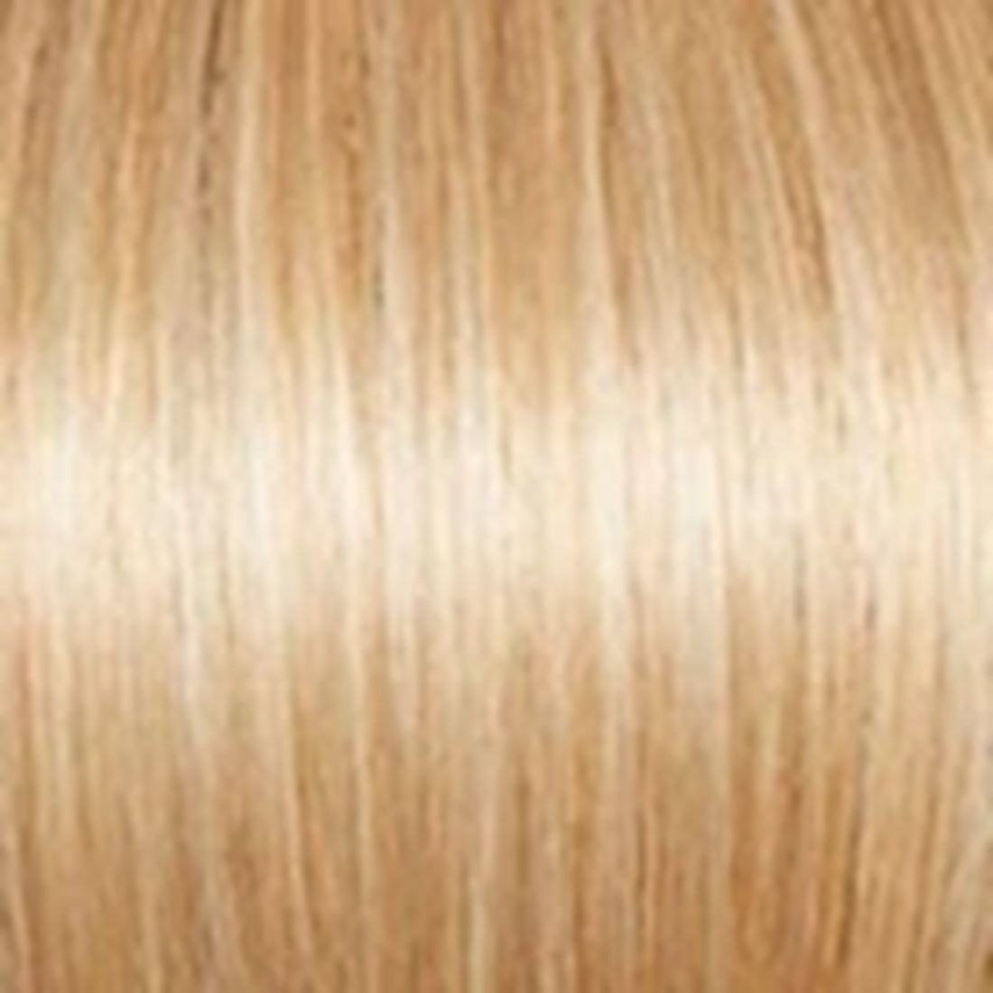 Eva Gabor Cheer Wig, G16+ Honey Mist by Hairuwear